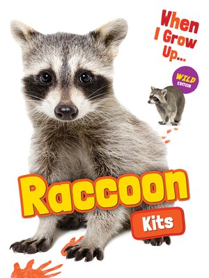 cover image of Raccoon Kits